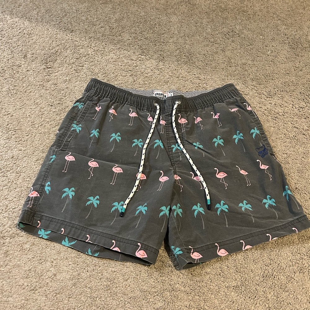 Charcoal Flamingo Print Men Swim Shorts